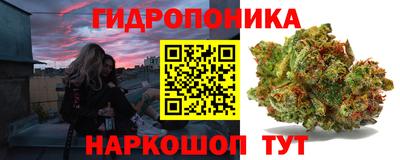 сатива Новозыбков