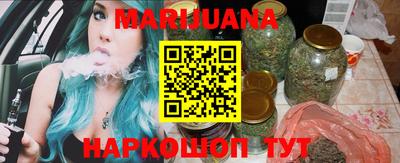 сатива Новозыбков