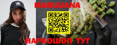 сатива Новозыбков