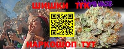 сатива Новокубанск