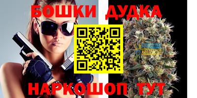 apvp Новодвинск