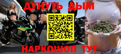 сатива Новозыбков