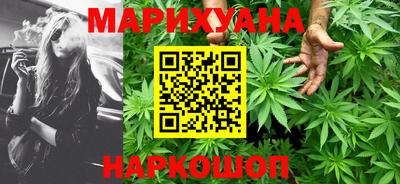 сатива Новокубанск