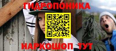 сатива Новозыбков