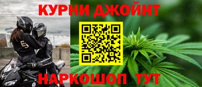 сатива Новозыбков